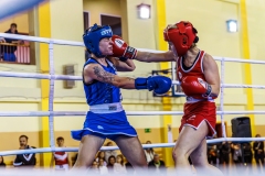 BX3A5463