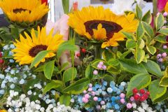 20230827_134526