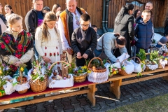 koszyczki11