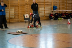 foto96
