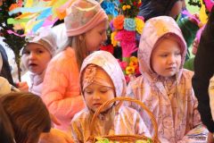 IMG_9235