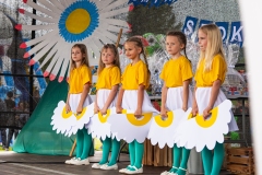 piknik10