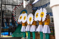 piknik11