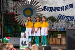 piknik12