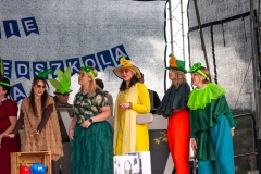 piknik29