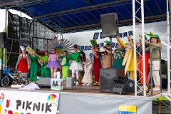piknik44